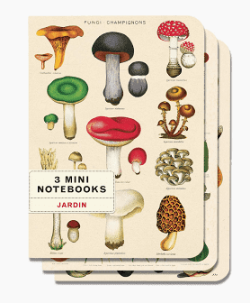 Mushroom Mini Notebook Set