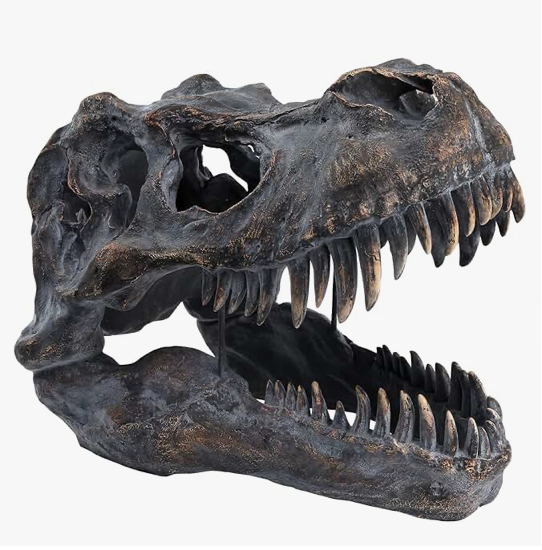 T. Rex Dinosaur Skull