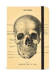 Skull Notebook (small)